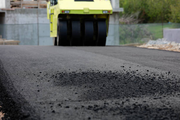 Best Paver Driveway Replacement  in Sarasota Springs, FL