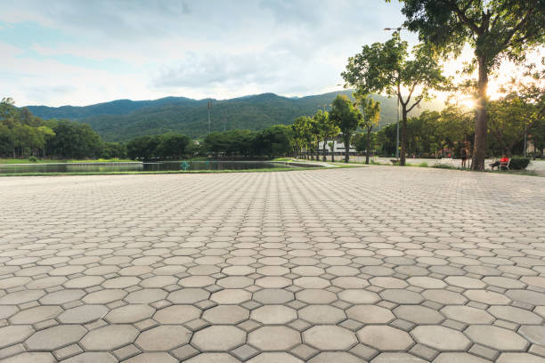 Best Concrete Paver Driveway  in Sarasota Springs, FL